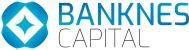 Banknes Logo